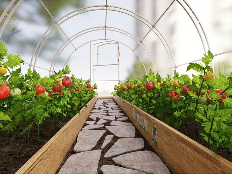 مایمون گاردنز توسط  فخرالدین پراپرتیز دبی برای فروش