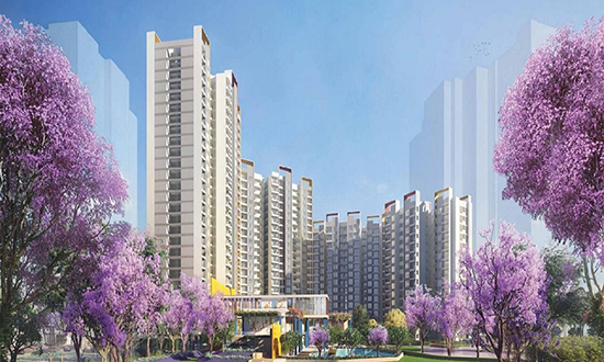 Joyville Homes