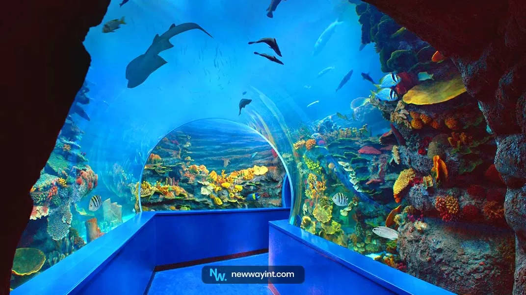 Sharjah Aquarium